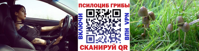 цены наркотик  Полесск  darknet наркотические препараты  Галлюциногенные грибы MAGIC MUSHROOMS 